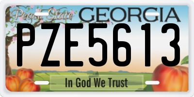 GA license plate PZE5613
