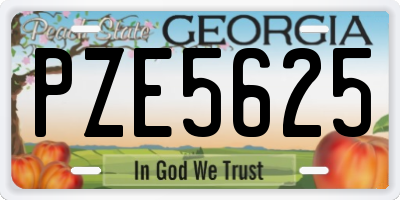 GA license plate PZE5625
