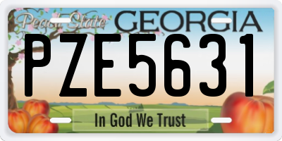 GA license plate PZE5631