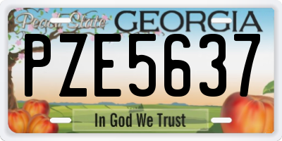 GA license plate PZE5637