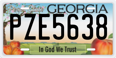 GA license plate PZE5638