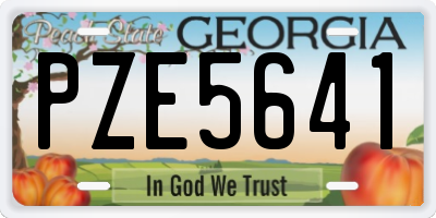 GA license plate PZE5641