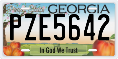 GA license plate PZE5642