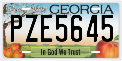 GA license plate PZE5645
