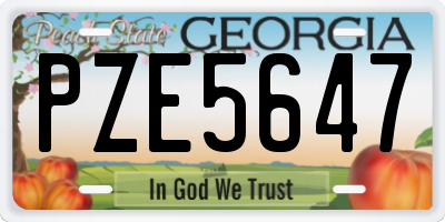 GA license plate PZE5647