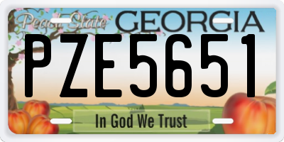 GA license plate PZE5651