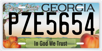 GA license plate PZE5654