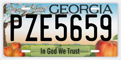GA license plate PZE5659
