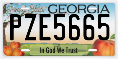 GA license plate PZE5665