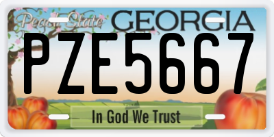 GA license plate PZE5667
