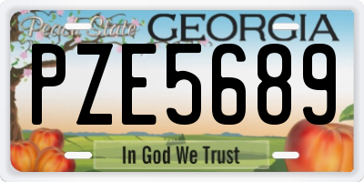 GA license plate PZE5689