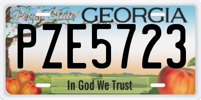 GA license plate PZE5723