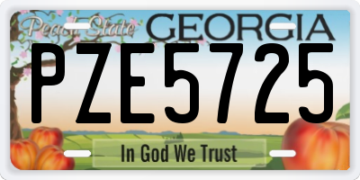 GA license plate PZE5725
