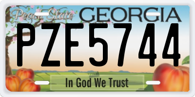 GA license plate PZE5744
