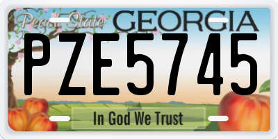 GA license plate PZE5745