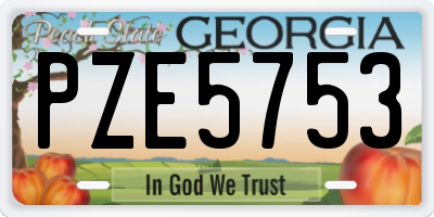 GA license plate PZE5753
