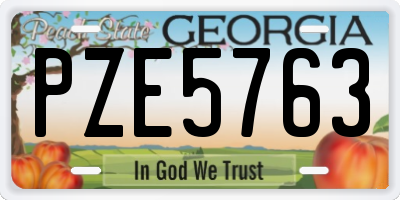 GA license plate PZE5763