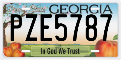 GA license plate PZE5787