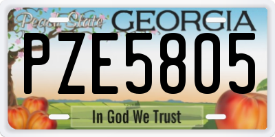 GA license plate PZE5805