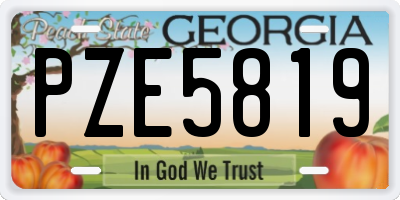 GA license plate PZE5819