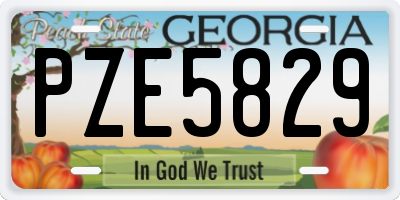 GA license plate PZE5829