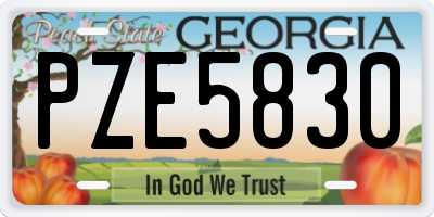 GA license plate PZE5830
