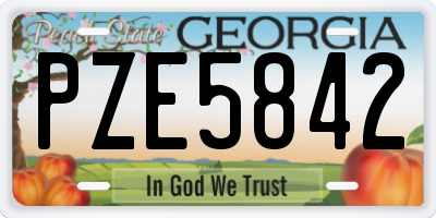 GA license plate PZE5842