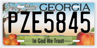 GA license plate PZE5845