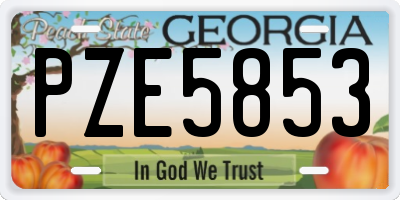GA license plate PZE5853