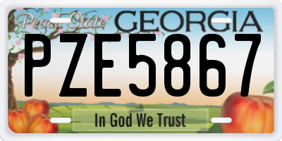 GA license plate PZE5867