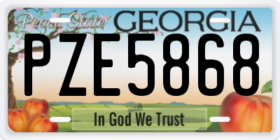 GA license plate PZE5868