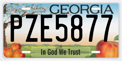 GA license plate PZE5877