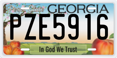 GA license plate PZE5916