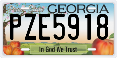 GA license plate PZE5918