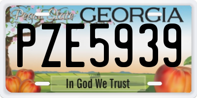 GA license plate PZE5939