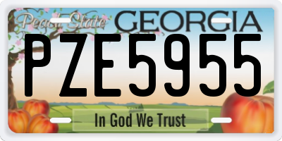 GA license plate PZE5955