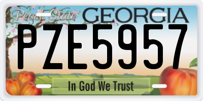 GA license plate PZE5957