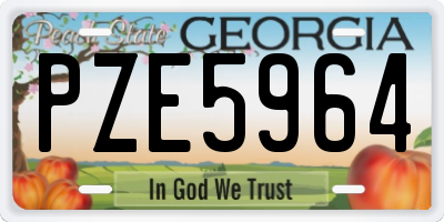 GA license plate PZE5964