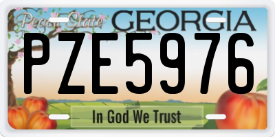 GA license plate PZE5976