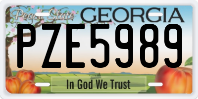 GA license plate PZE5989