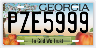 GA license plate PZE5999