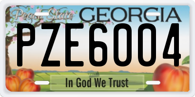 GA license plate PZE6004