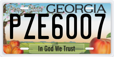 GA license plate PZE6007