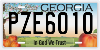 GA license plate PZE6010