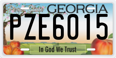 GA license plate PZE6015