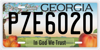 GA license plate PZE6020