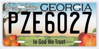 GA license plate PZE6027