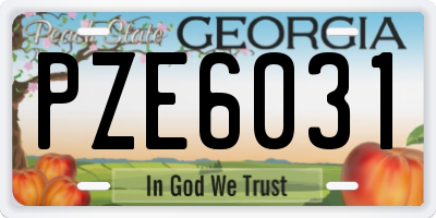 GA license plate PZE6031