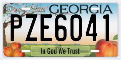 GA license plate PZE6041