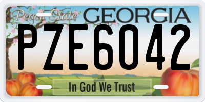 GA license plate PZE6042